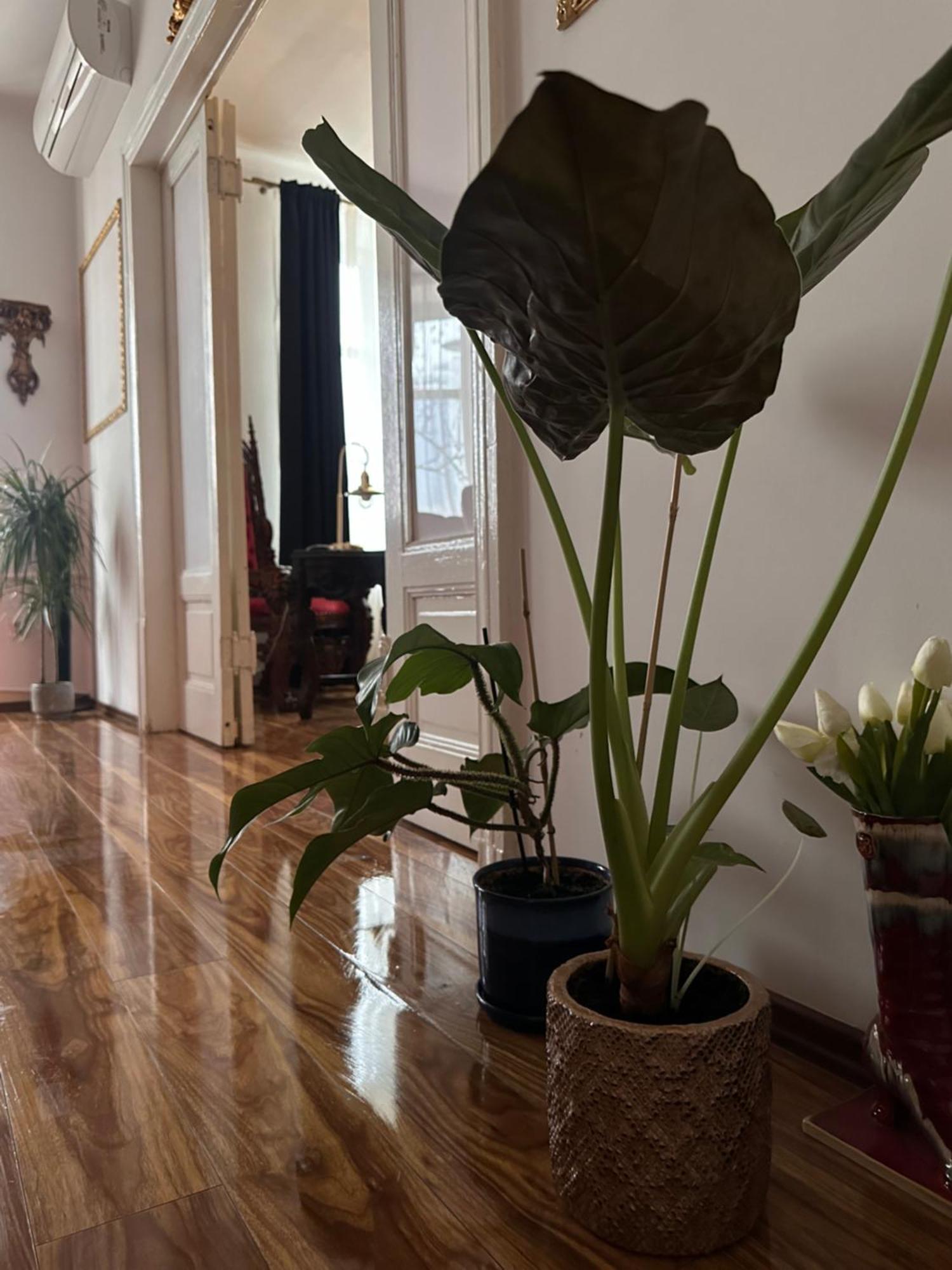 Exclusive Apartment Chmielna Street 95M2 Varsó Kültér fotó