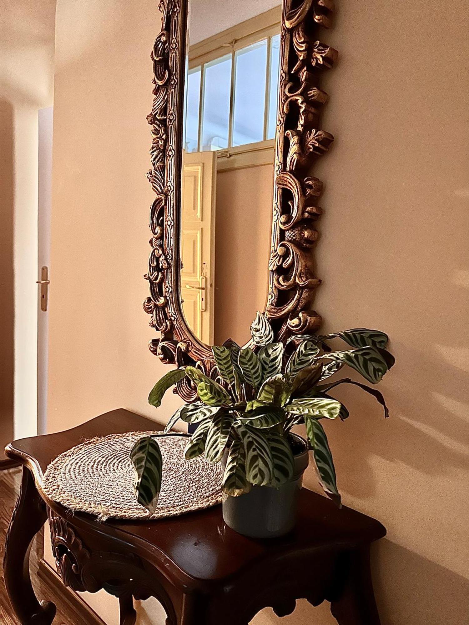 Exclusive Apartment Chmielna Street 95M2 Varsó Kültér fotó